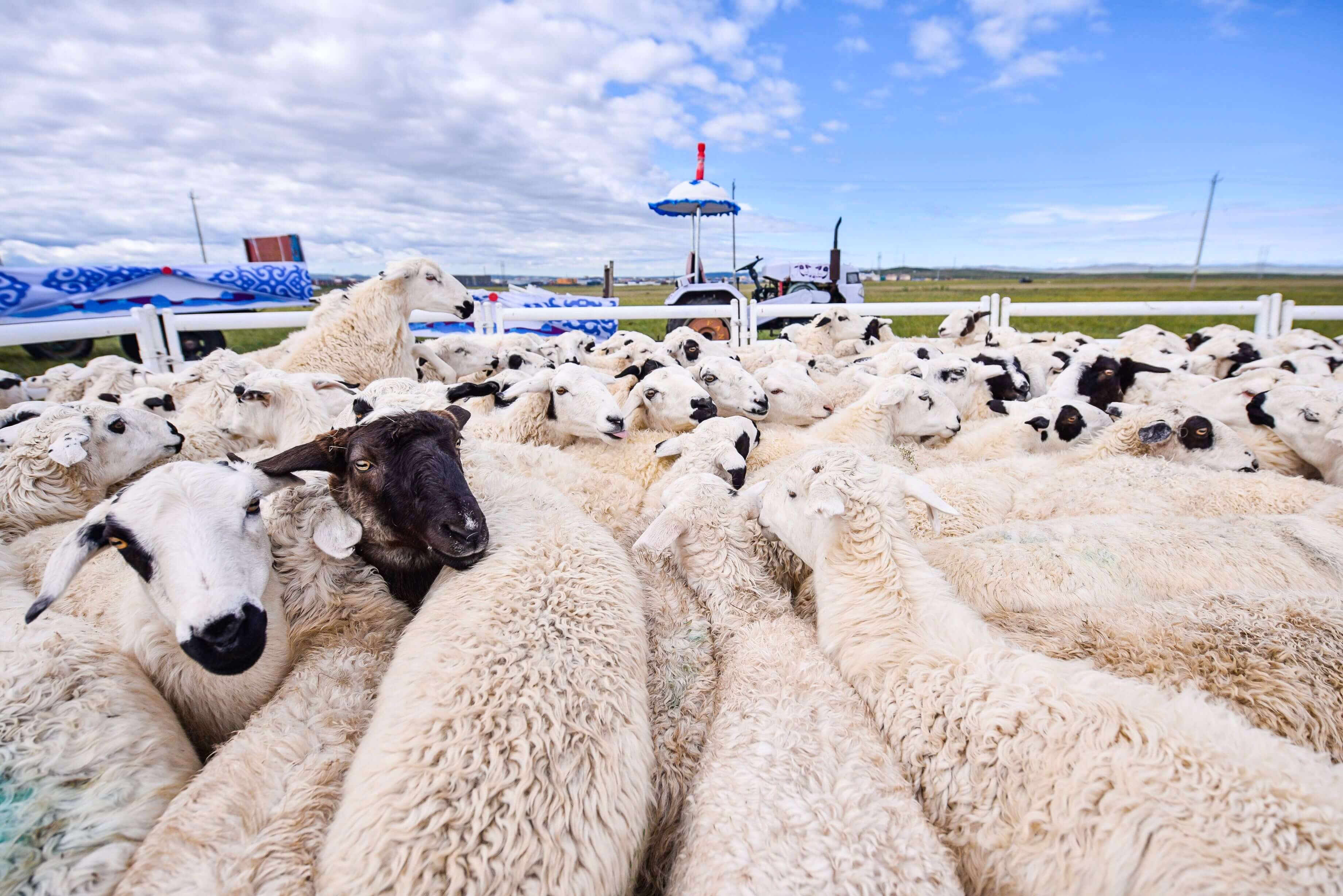 __BASE64_6LS16YeR5bGe__投资Q&A：专家解答你的所有问题